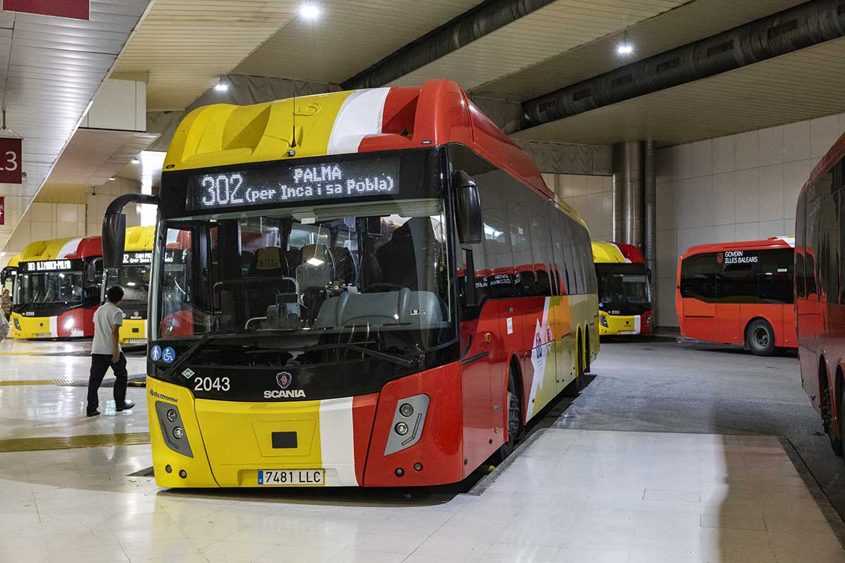 How to use Public Buses in Majorca - Bus in Palma bus station
