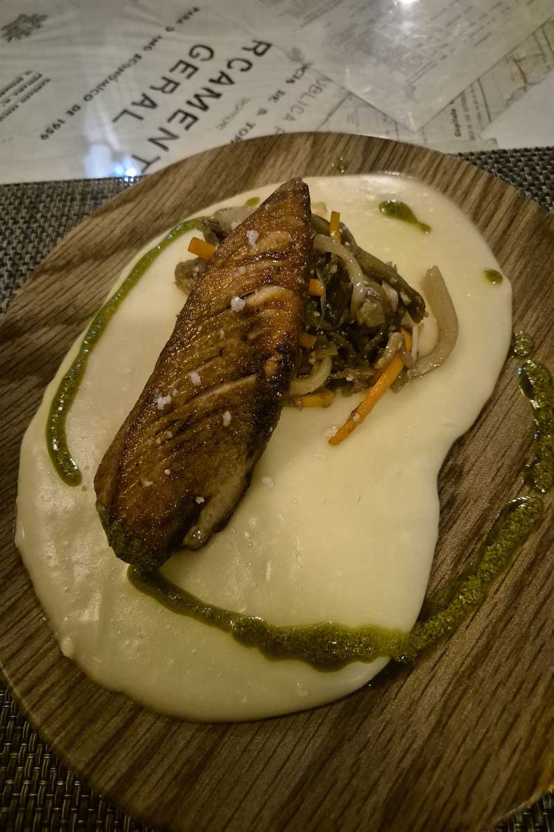 Tuna on a bed of breadfruit with Provencal vegetables