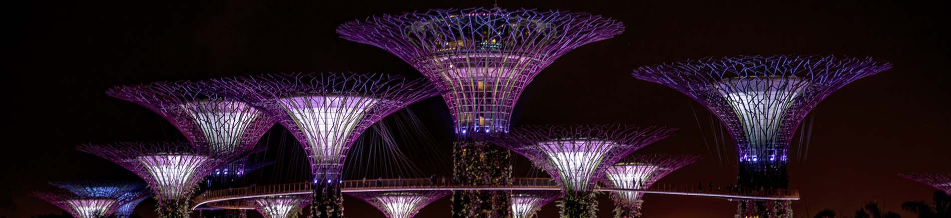 The Supertrees at the Gardens by the Bay, taken from the Marina Bay Sands Hotel. One of the world famous views in Asia.