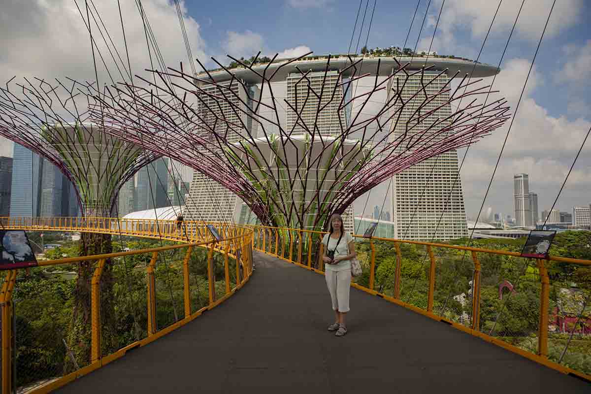 Supertrees and Marina Bay Hotel - Gardens by the Bay, Singapore