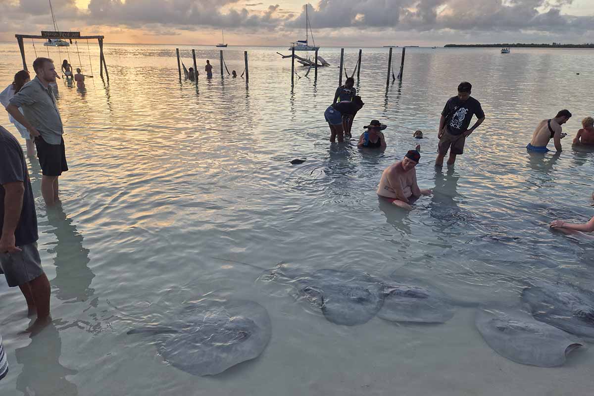 Tourists paddling at sunset surrounded by stingrays - is Belize good for solo travel?