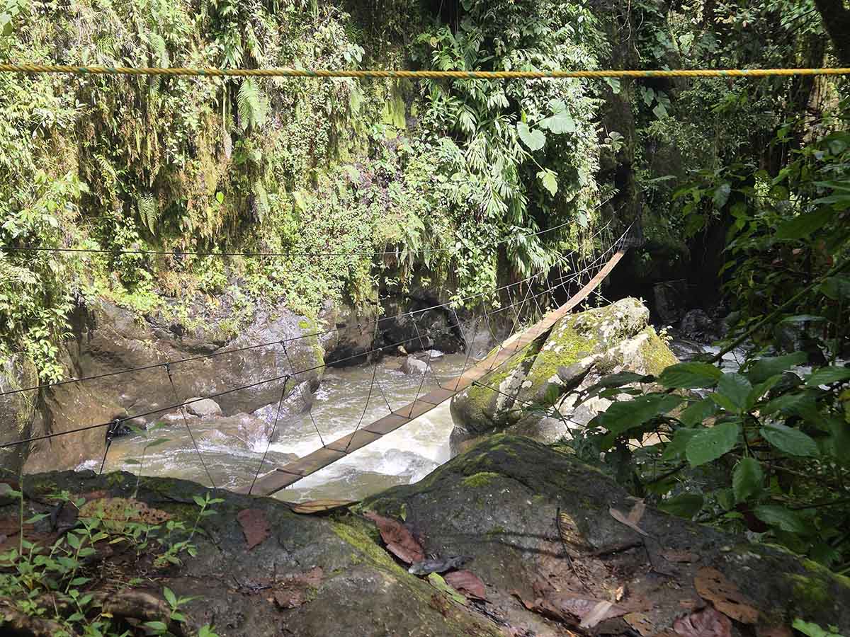 Rope and Plank Bridge over a river