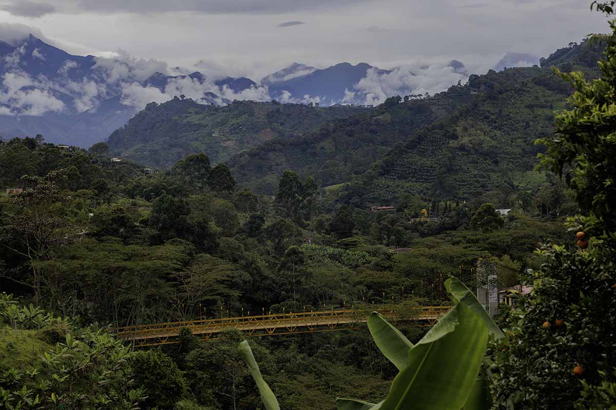 Jardin Travel Guide -