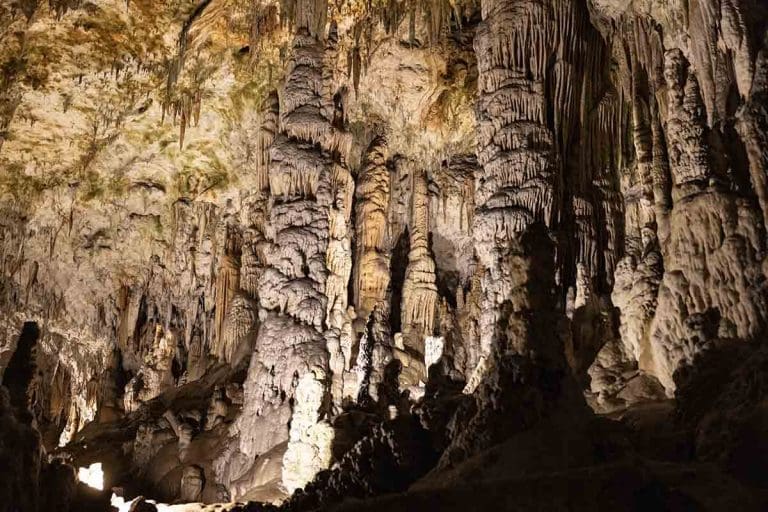 Postojna Caves - One of the Best Day Trips from Ljubljana