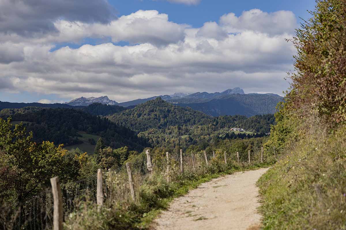 Lake Bled Slovenia hiking trail