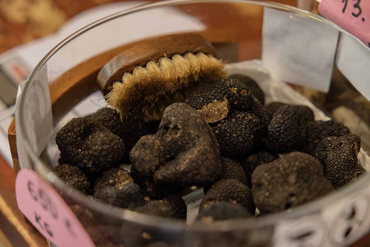 Groznjan is world reknowned for its truffles!