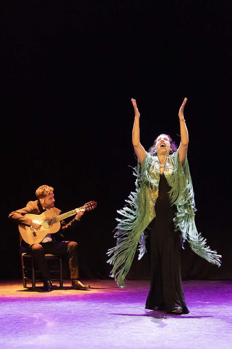 Live flamenco show - best things to do in Seville