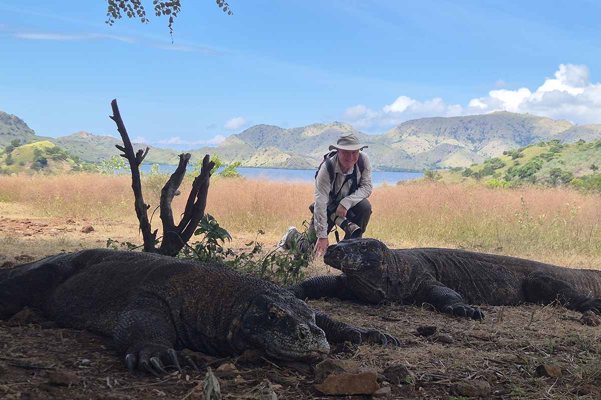 How to see Komodo dragons