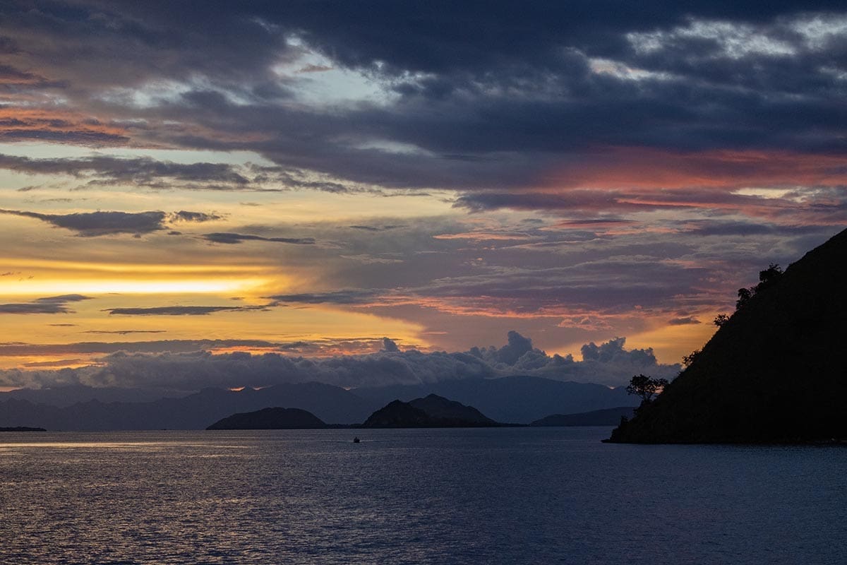 How to see Komodo dragons